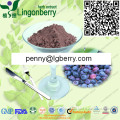 Blueberry Juice Powder